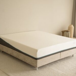 VIROCLEAN DELUXE MATTRESS