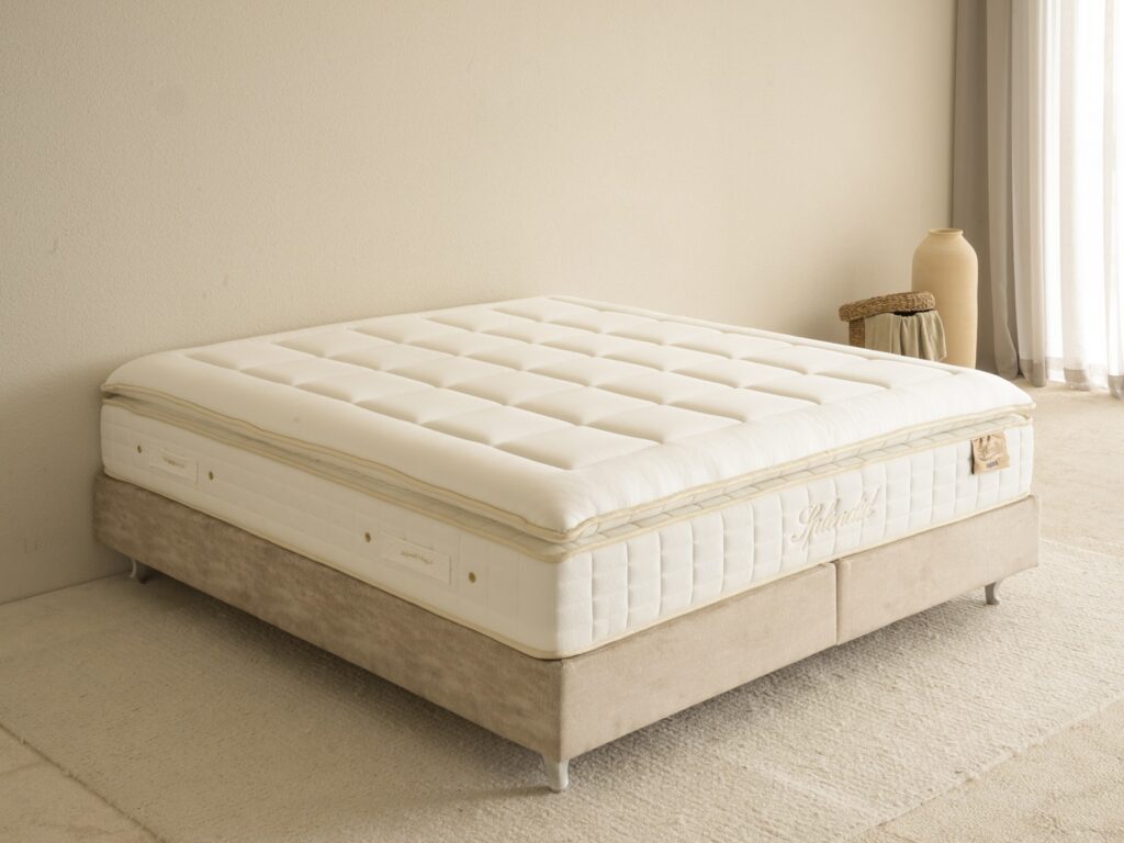 SPLENDID MATTRESS